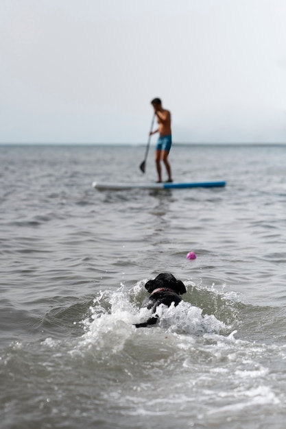 Dog having fun at the beach