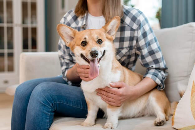 Dog held by owner on couch