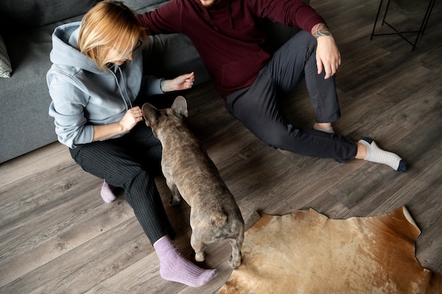 犬のライフスタイルと飼い主とのケア