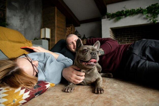 犬のライフスタイルと飼い主とのケア