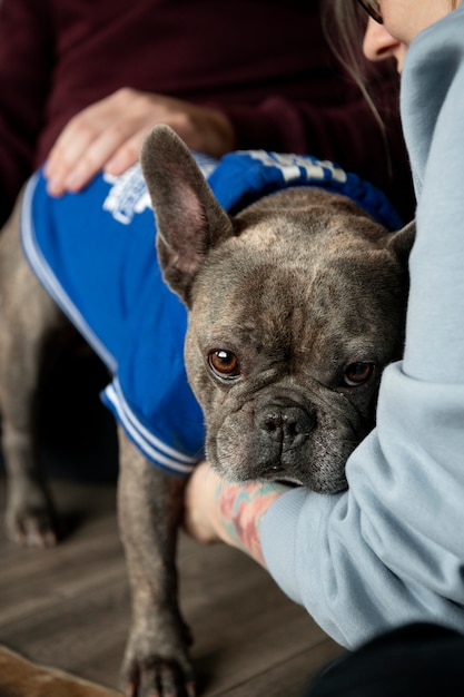 Foto gratuita stile di vita del cane e cura con il proprietario