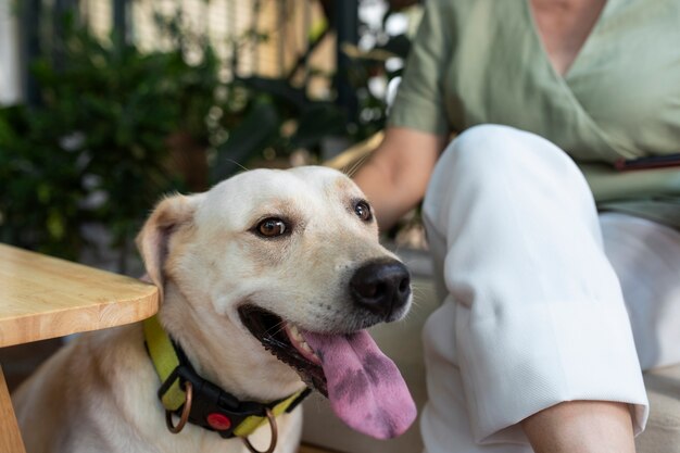 庭で飼い主の隣に座っている犬