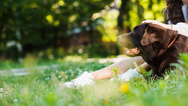 Dog sitting near woman's leg in park