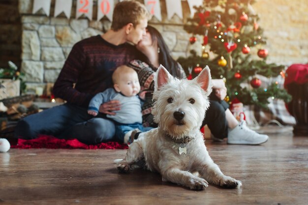 Dog sitting on the wooden floor with a family background