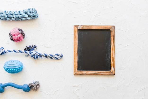 Dog toys near blackboard