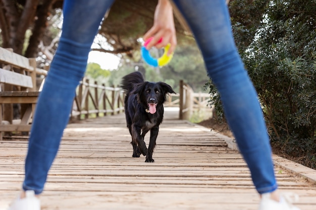 Addestratore di cani che interagisce con il proprio animale domestico