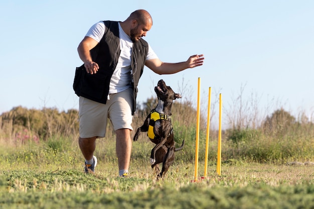 Dog trainer teaching dog to run though obstacles
