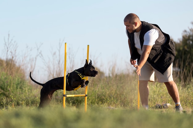 Free photo dog trainer teaching dog to run though obstacles