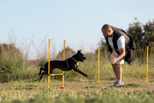 Дрессировщик собак учит собаку бегать через препятствия