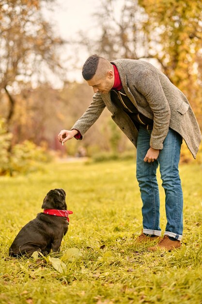 犬の訓練。公園で犬を訓練している男