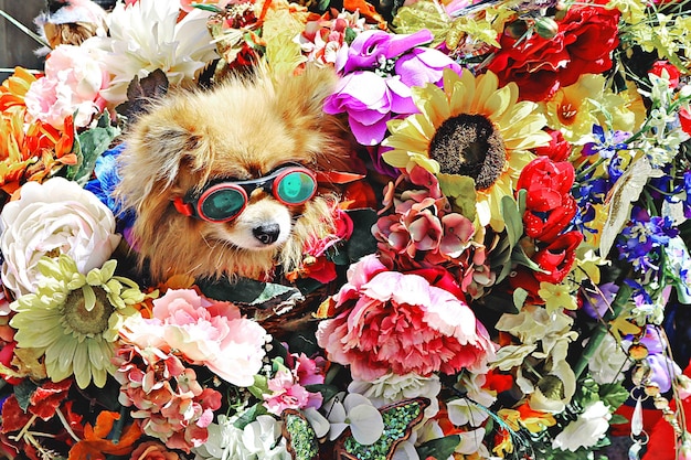 花に囲まれた眼鏡をかけた犬