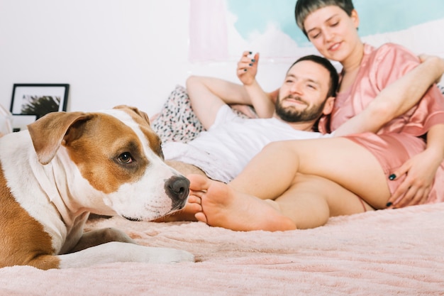 Dog with owners during the morning
