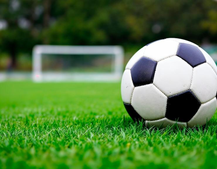 Free Photo doing sport concept