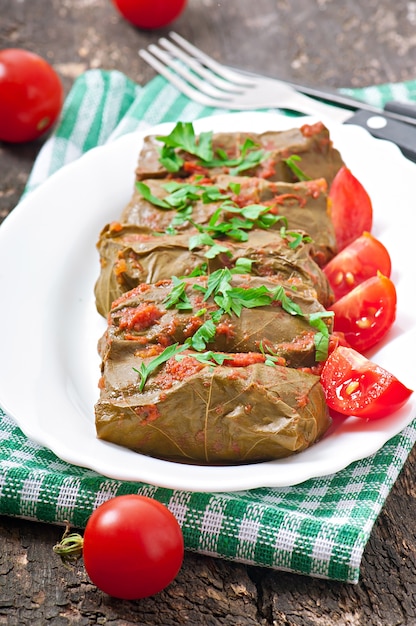 Free photo dolma, stuffed grape leaves, turkish and greek cuisine