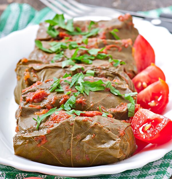 Dolma, stuffed grape leaves, turkish and greek cuisine