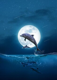 Dolphin jumping outside the ocean at full moon night  3d rendering