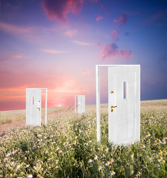 Free photo doors in a field