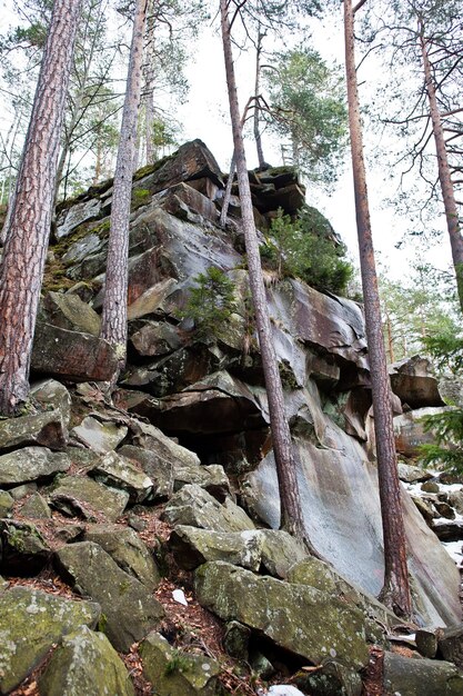 Dovbush rocks in green forest at Carpathian mountains
