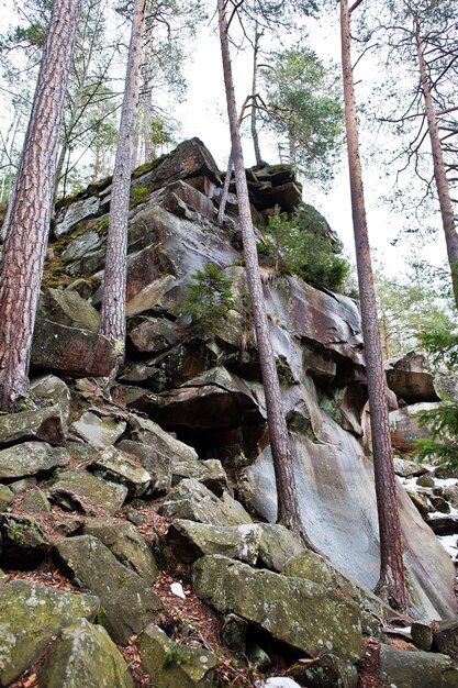 カルパティア山脈の緑の森のDovbush岩