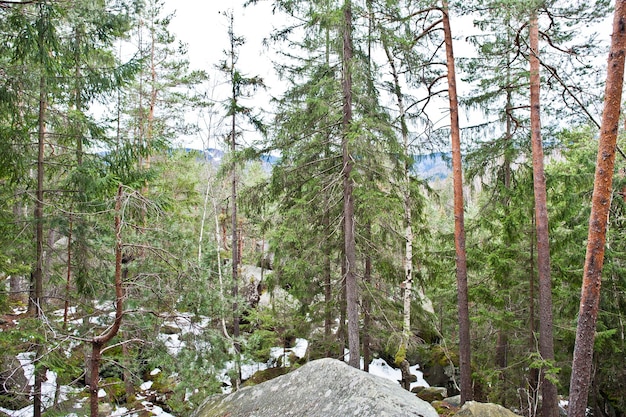 Dovbush rocks in green forest at Carpathian mountains