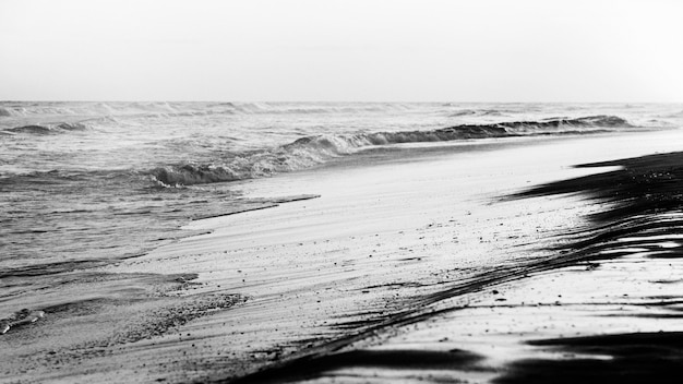 Foto gratuita drammatico paesaggio marino bellissimo bianco e nero