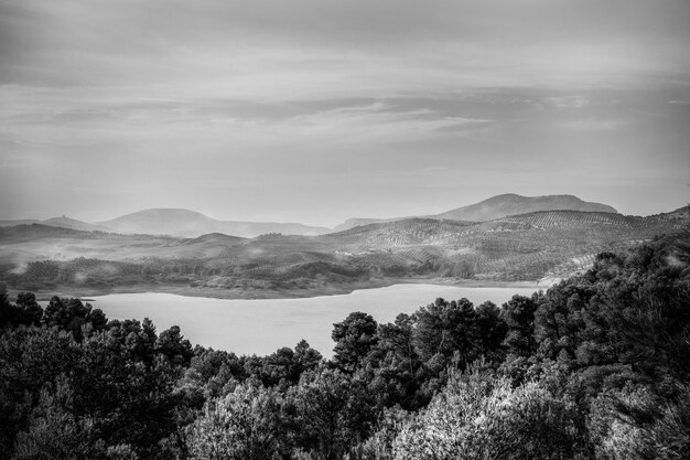 Dramatic black and white landscape with trees