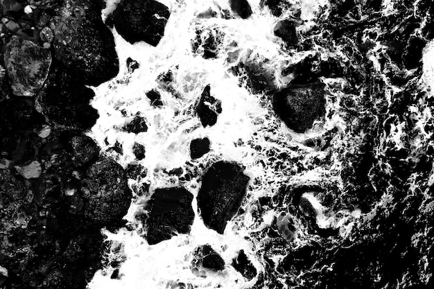 Foto gratuita drammatico paesaggio marino in bianco e nero