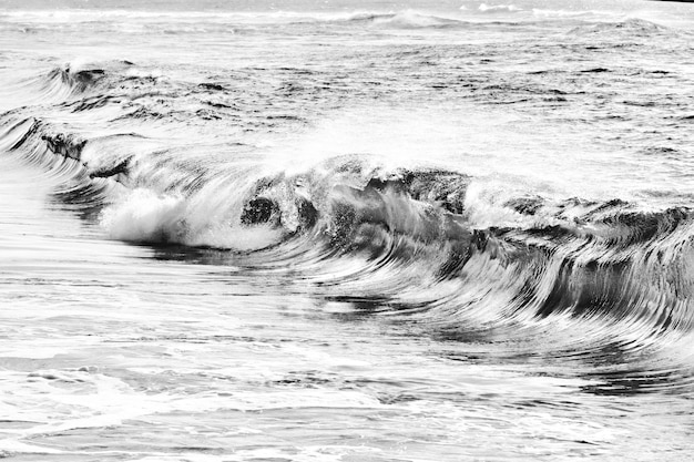 Foto gratuita drammatico paesaggio marino in bianco e nero