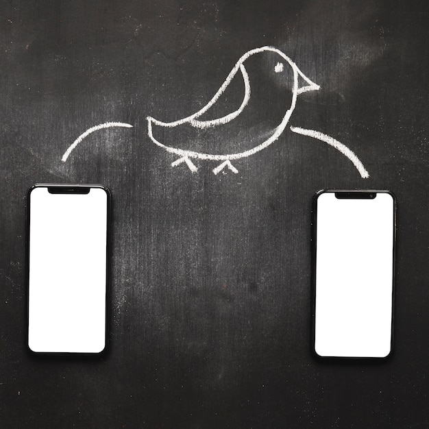 Drawn twitter icon over the two blank cellphone on chalkboard