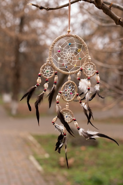 Dreamcatcher hanging from a branch in the park