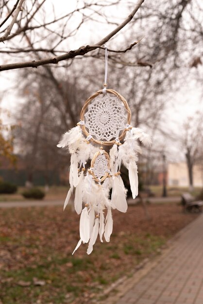 Dreamcatcher hanging from a branch in the park