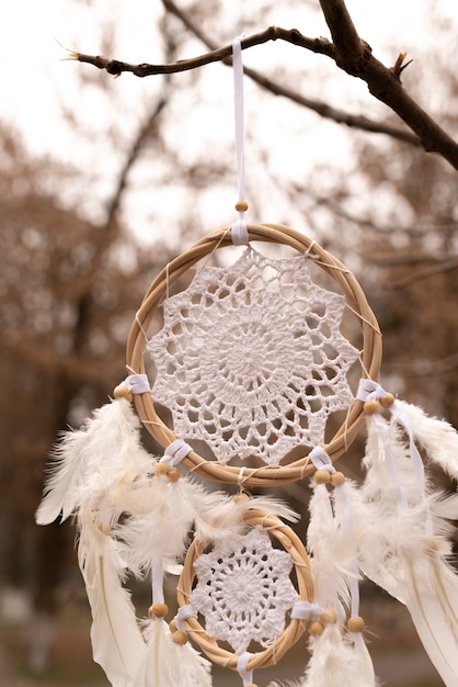 Dreamcatcher hanging from a branch in the park