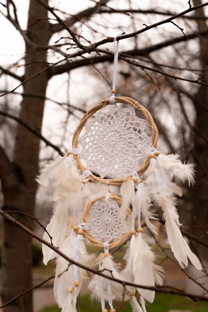 Dreamcatcher hanging from a branch in the park