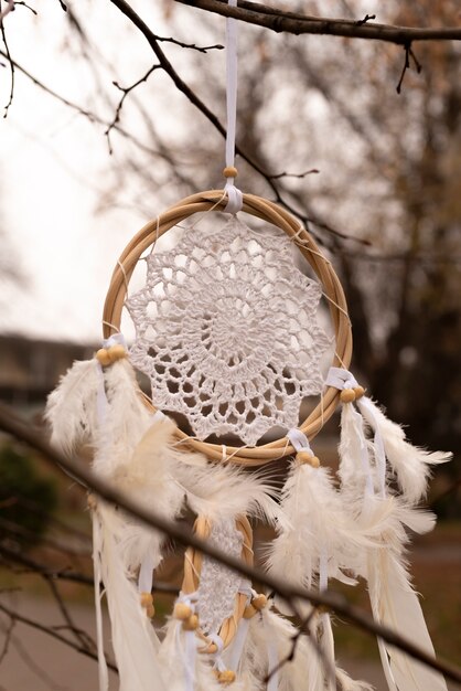 Dreamcatcher hanging from a branch in the park