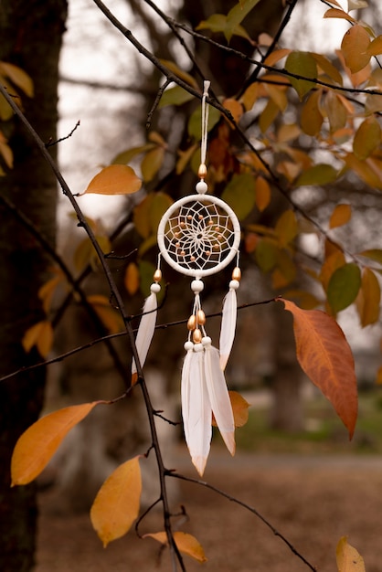 Free photo dreamcatcher hanging from a branch in the park