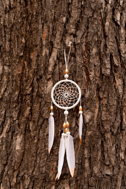 Dreamcatcher hanging from a tree
