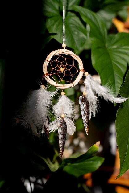 Dreamcatcher hanging in front of an indoor plant