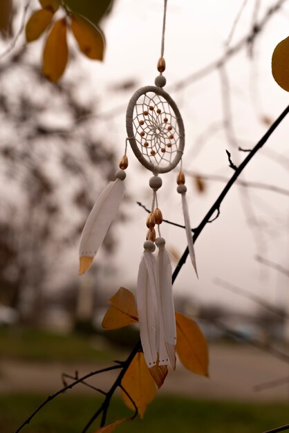 Dreamcatcher tied to a branch in the park