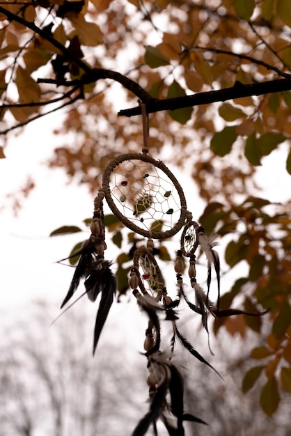 Dreamcatcher tied to a branch in the park