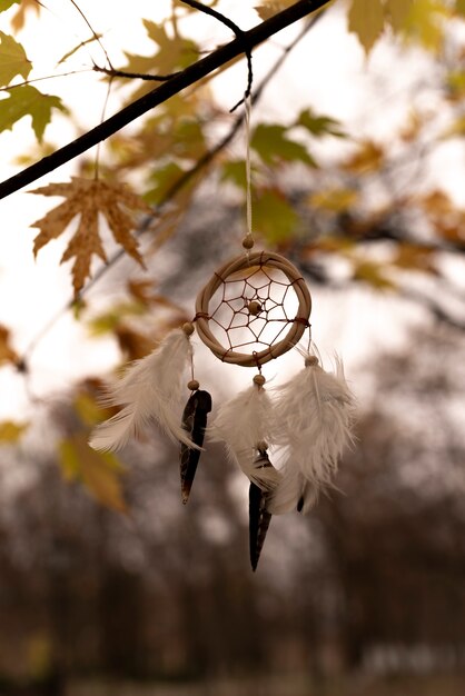 Dreamcatcher tied to a branch in the park