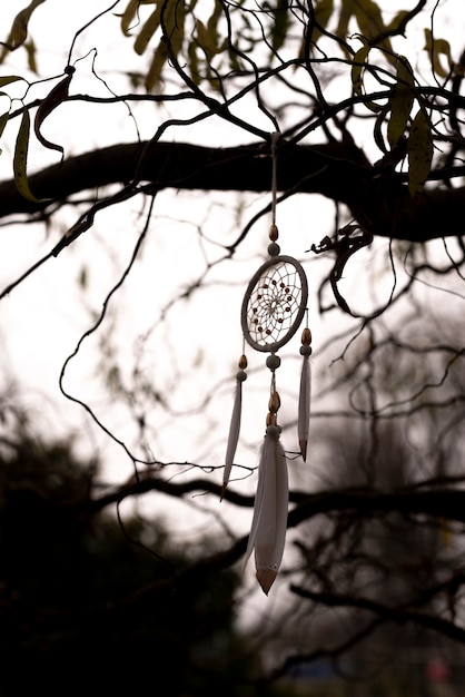 Dreamcatcher tied to a branch in the park