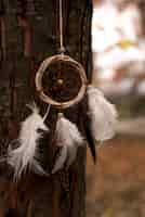 Free photo dreamcatcher tied to a tree in the park