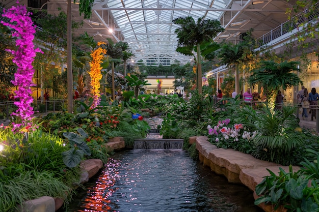 Free photo dreamy interior of mall