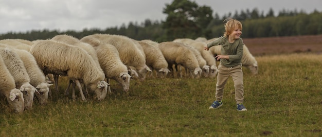 양떼가 있는 농장에서 흥분하는 사랑스러운 백인 소년의 꿈꾸는 듯한 사진