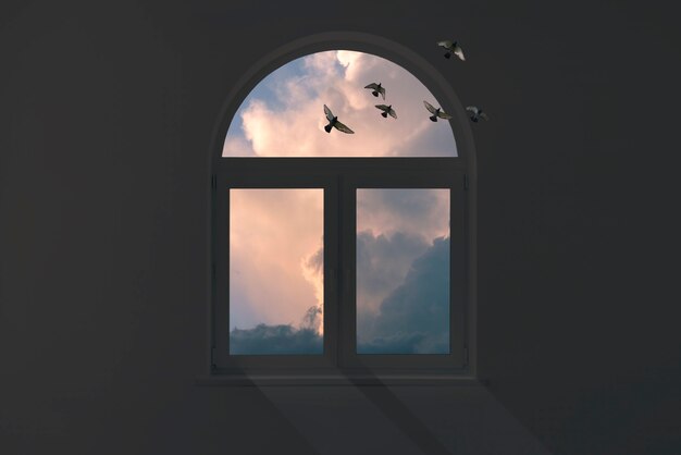 Dreamy windows with beautiful nature