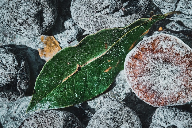 Fichi secchi su sfondo scuro i fichi blu secchi giacciono su sfondo scuro natura morta con frutti sani utili per mantenere la salute supercibi