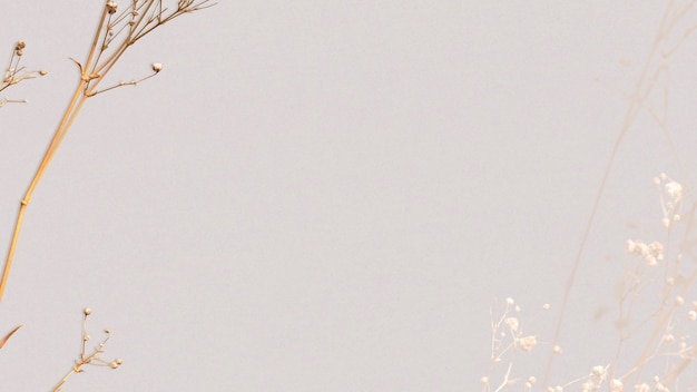 Free Photo dried floral background natural design space