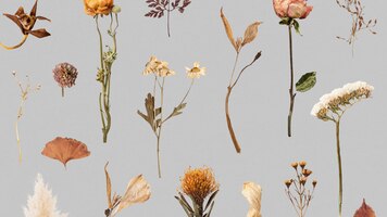 dried flower and leaf patterned