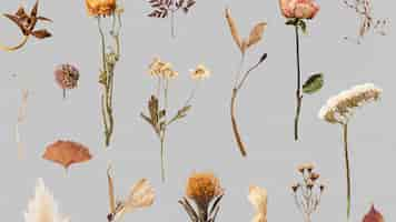 Free photo dried flower and leaf patterned