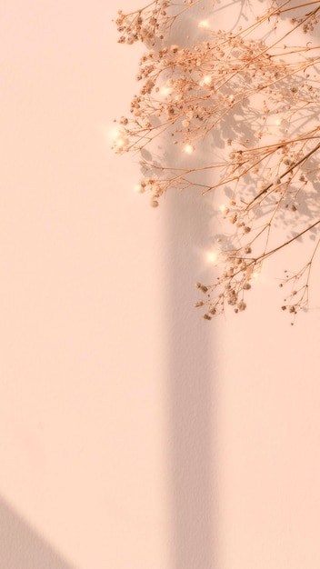 Free Photo dried flower window shadow floral background